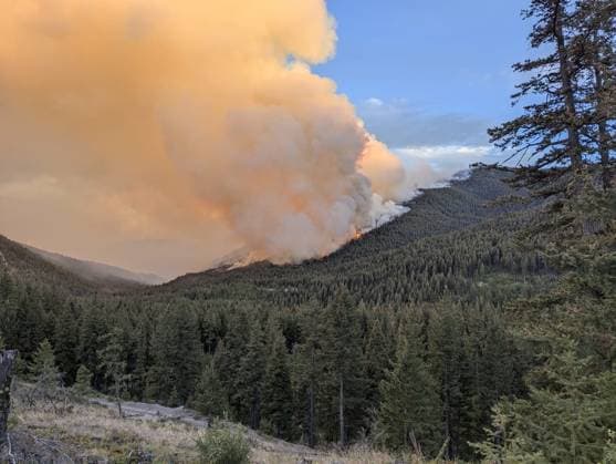 Kanada, Waldbrände in British Columbia (240804) -- BRITISH COLUMBIA, Aug. 4, 2024 -- This photo taken on Aug. 2, 2024 shows smoke billowing from wildfires near Shetland Creek, about 100 km west of Kamloops in British Columbia, Canada. (BC Wildfire Service Handout via Xinhua) CANADA-WILDFIRES LinxWei 