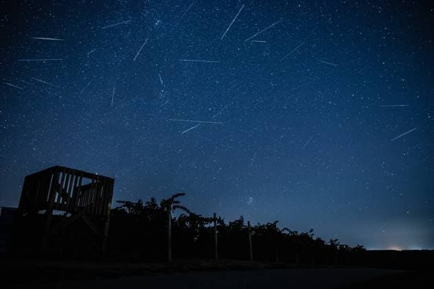 Bilder des Jahres 2024, News 08 August News Themen der Woche KW32 Perseid meteor shower near Osijek Perseid meteor shower seen over vineyard near Osijek in Croatia on August 10, 2024.  BornaxJaksic PIXSELL