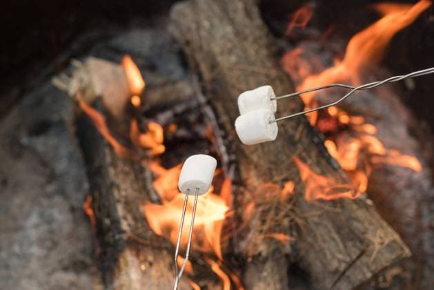 Marshmellows being held over the fire of wood South Lake Tahoe, California, United States R_HOOX240808-1508631-01