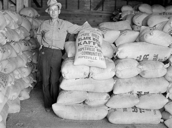 Project Manager with Bags of Kaffir Seed grown by Resettled Farmers, Ropesville, Hockley County, Texas, USA, Arthur Rothstein, U.S. Farm Security Administration, April 1936  Copyright: xCircaxImagesx ghi-circa01739