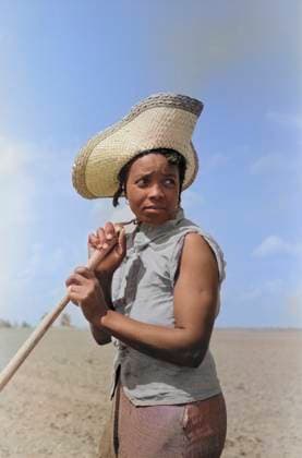 Cotton Hoer, New Madrid County, Missouri, USA, Russell Lee, U.S. Farm Security Administration, May 1938  Copyright: xCircaxImagesx ghi-circa01833