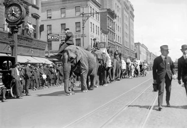 Circus parade, New York City, New York, USA, Bain News Service, April 1920  Copyright: xCircaxImagesx ghi-circa02961