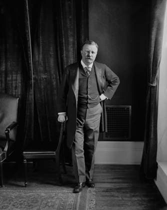U.S. President Theodore Roosevelt, full-length portrait, Harris & Ewing, 1907  Copyright: xCircaxImagesx ghi-circa03420