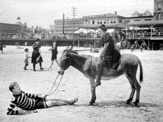 Woman riding donkey while man holds reins on beach, Atlantic City, New Jersey, USA, Detroit Publishing Company, 1901  Copyright: xCircaxImagesx ghi-circa03734
