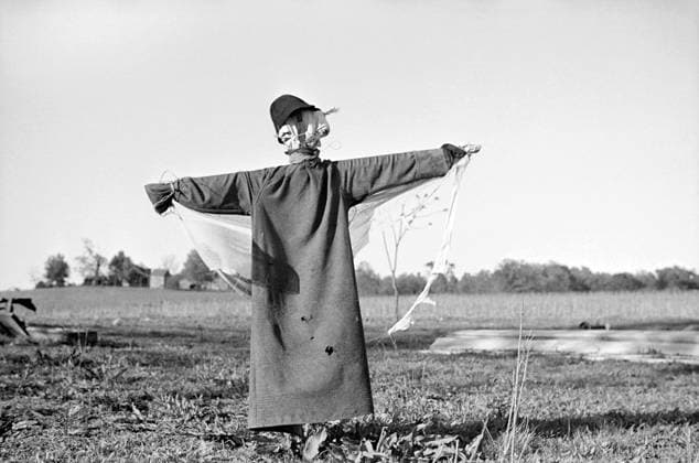 Scarecrow in Field, North Carolina, USA, John Vachon for Farm Security Administration, April 1938  Copyright: xCircaxImagesx ghi-circa04603