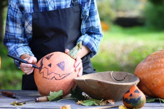 carve pumpkins for Halloween preparation for the celebration of Halloween pumpkin carving faces in ,model released, Symbolfoto Copyright: xZoonar.com AleksandrxKichiginx 9776160 ,model released, Symbolfoto ,property released
