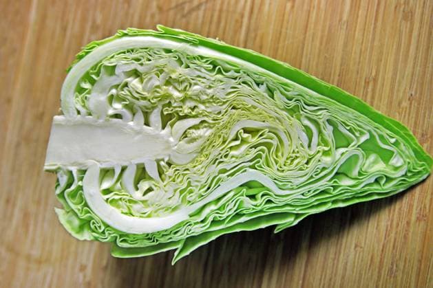Spitzkohl, Spitz-Kohl (Brassica oleracea var. capitata f. acuta), Spitzkohl im Laengsschnitt pointed cabbage, hispi cabbage (Brassica oleracea var. capitata f. acuta), pointed cabbage in longitudinal section BLWS714573 *** Pointed cabbage, Spitz Kohl Brassica oleracea Var capitata F Acuta , Pointed cabbage at Longitudinal section pointed cabbage, Hispi Cabbage Brassica oleracea Var capitata F Acuta , pointed Cabbage in Longitudinal Section BLWS714573 Copyright: xblickwinkel R.xRebmannx