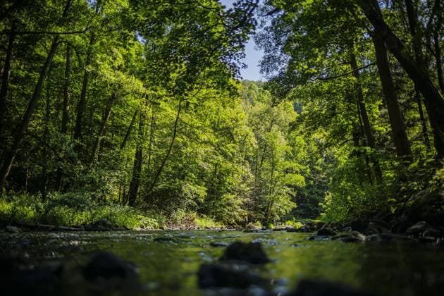 Creative Highlights World Der Fluss Selbitz fliesst durch das Hoellental zwischen Thueringen und Bayern. Lichtenberg, 21.07.2024. Lichtenberg Deutschland *** The Selbitz river flows through the Hoellental valley between Thuringia and Bavaria Lichtenberg, 21 07 2024 Lichtenberg Germany Copyright: xThomasxTrutschel photothek.dex