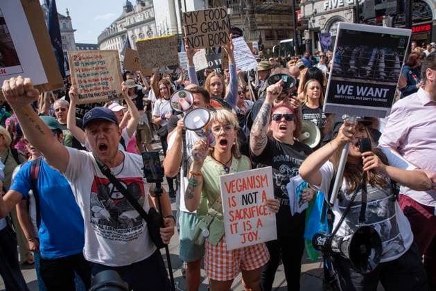 Bilder des Jahres 2024, News 08 August News Themen der Woche KW33 News Bilder des Tages National Animal Rights March in London, UK - 17 Aug 2024 Protesters chant slogans outside the Angus Steakhouse during the demonstration. Hundreds activists gathered for the National Animal Rights March in London, UK. Animal Rights organisations organised a protest to demand animal liberation. Protesters marched from the Marble Arch to the Parliament Square. London United Kingdom Copyright: xKrisztianxElekx xSOPAxImagesx SSS_20240817_ANIMAL_RIGHTS_0011026