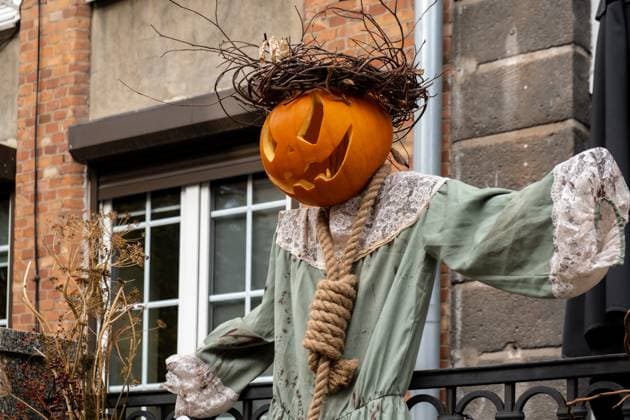 Halloween horror scarecrow decorated outdoor cafe or restaurant terrace in America or Europe with pumpkins traditional attributes of Halloween. Frontyard decoration Halloween horror scarecrow decorated outdoor cafe or restaurant terrace in America or Europe with pumpkins traditional attributes of Halloween. Frontyard decoration for party. Copyright: xZoonar.com AnastasiiaxYanishevskax 22005412