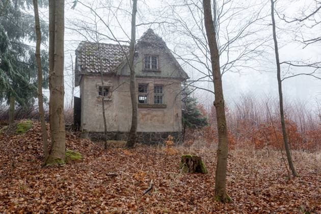 Haus im nebligen Wald stehend House standing in the misty forest Copyright: imageBROKER DanielxKühne ibliqx08478078.jpg