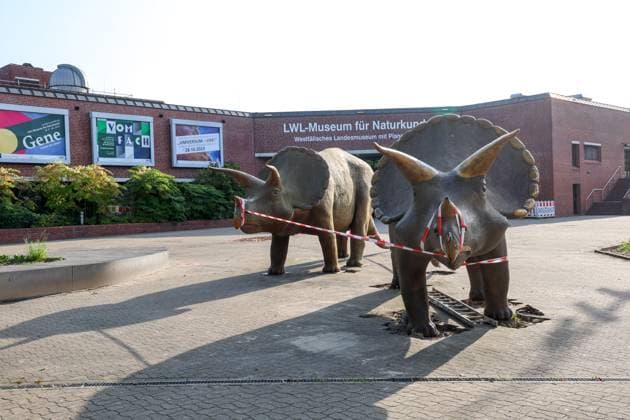 Wenn schwere Dinos fliegen - Modelle vor dem LWL-Museum für Naturkunde versetzt. Wahrzeichen des Museums kennzeichnen neuen Museumseingang. Das LWL-Museum für Naturkunde bekommt einen Anbau auf dem Museumsvorplatz. Für die Zeit der Bauarbeiten markieren die Dinos den neuen, vorübergehenden Eingang in das Museum. Münster, Nordrhein-Westfalen, DEU, Deutschland, 22.08.2024