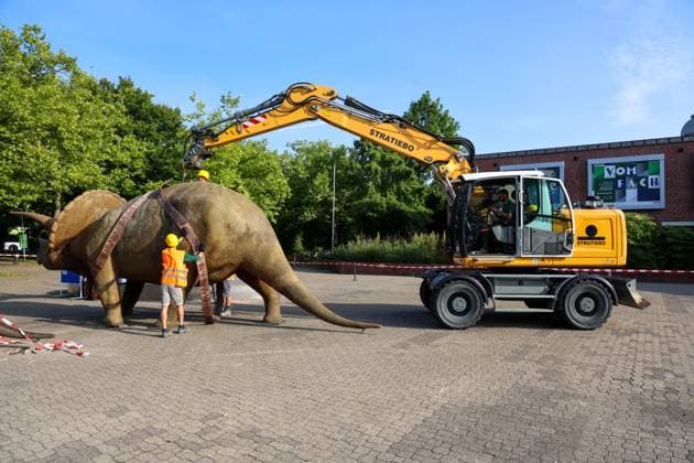 Wenn schwere Dinos fliegen - Modelle vor dem LWL-Museum für Naturkunde versetzt. Wahrzeichen des Museums kennzeichnen neuen Museumseingang. Das LWL-Museum für Naturkunde bekommt einen Anbau auf dem Museumsvorplatz. Für die Zeit der Bauarbeiten markieren die Dinos den neuen, vorübergehenden Eingang in das Museum. Münster, Nordrhein-Westfalen, DEU, Deutschland, 22.08.2024
