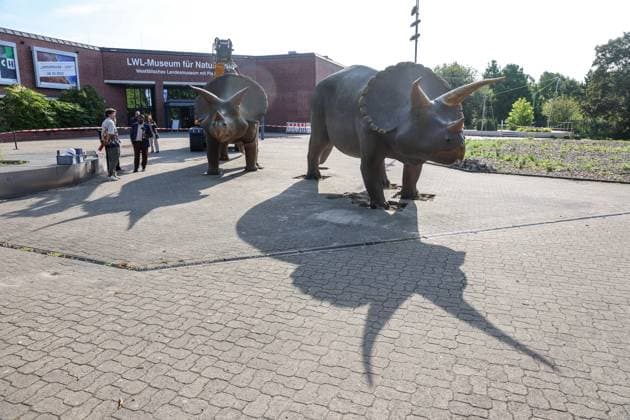 Wenn schwere Dinos fliegen - Modelle vor dem LWL-Museum für Naturkunde versetzt. Wahrzeichen des Museums kennzeichnen neuen Museumseingang. Das LWL-Museum für Naturkunde bekommt einen Anbau auf dem Museumsvorplatz. Für die Zeit der Bauarbeiten markieren die Dinos den neuen, vorübergehenden Eingang in das Museum. Münster, Nordrhein-Westfalen, DEU, Deutschland, 22.08.2024