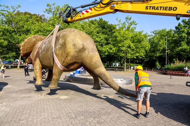 Wenn schwere Dinos fliegen - Modelle vor dem LWL-Museum für Naturkunde versetzt. Wahrzeichen des Museums kennzeichnen neuen Museumseingang. Das LWL-Museum für Naturkunde bekommt einen Anbau auf dem Museumsvorplatz. Für die Zeit der Bauarbeiten markieren die Dinos den neuen, vorübergehenden Eingang in das Museum. Münster, Nordrhein-Westfalen, DEU, Deutschland, 22.08.2024
