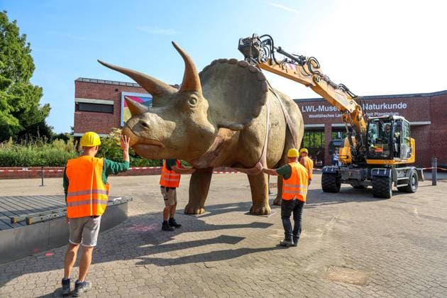 Wenn schwere Dinos fliegen - Modelle vor dem LWL-Museum für Naturkunde versetzt. Wahrzeichen des Museums kennzeichnen neuen Museumseingang. Das LWL-Museum für Naturkunde bekommt einen Anbau auf dem Museumsvorplatz. Für die Zeit der Bauarbeiten markieren die Dinos den neuen, vorübergehenden Eingang in das Museum. Münster, Nordrhein-Westfalen, DEU, Deutschland, 22.08.2024