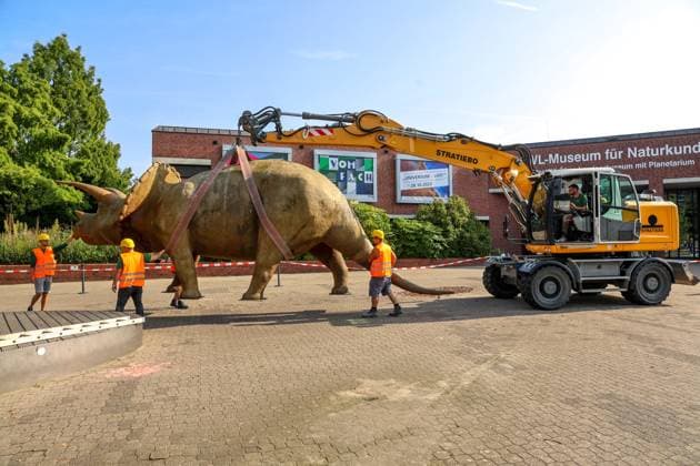 Wenn schwere Dinos fliegen - Modelle vor dem LWL-Museum für Naturkunde versetzt. Wahrzeichen des Museums kennzeichnen neuen Museumseingang. Das LWL-Museum für Naturkunde bekommt einen Anbau auf dem Museumsvorplatz. Für die Zeit der Bauarbeiten markieren die Dinos den neuen, vorübergehenden Eingang in das Museum. Münster, Nordrhein-Westfalen, DEU, Deutschland, 22.08.2024