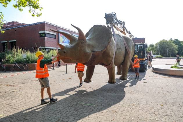 Wenn schwere Dinos fliegen - Modelle vor dem LWL-Museum für Naturkunde versetzt. Wahrzeichen des Museums kennzeichnen neuen Museumseingang. Das LWL-Museum für Naturkunde bekommt einen Anbau auf dem Museumsvorplatz. Für die Zeit der Bauarbeiten markieren die Dinos den neuen, vorübergehenden Eingang in das Museum. Münster, Nordrhein-Westfalen, DEU, Deutschland, 22.08.2024