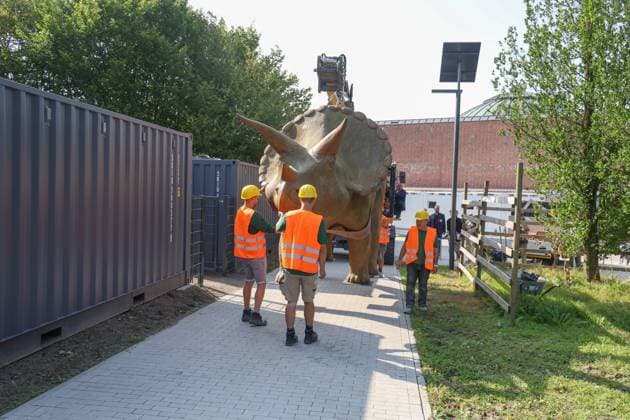 Wenn schwere Dinos fliegen - Modelle vor dem LWL-Museum für Naturkunde versetzt. Wahrzeichen des Museums kennzeichnen neuen Museumseingang. Das LWL-Museum für Naturkunde bekommt einen Anbau auf dem Museumsvorplatz. Für die Zeit der Bauarbeiten markieren die Dinos den neuen, vorübergehenden Eingang in das Museum. Münster, Nordrhein-Westfalen, DEU, Deutschland, 22.08.2024