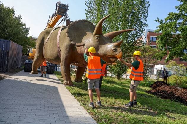 Wenn schwere Dinos fliegen - Modelle vor dem LWL-Museum für Naturkunde versetzt. Wahrzeichen des Museums kennzeichnen neuen Museumseingang. Das LWL-Museum für Naturkunde bekommt einen Anbau auf dem Museumsvorplatz. Für die Zeit der Bauarbeiten markieren die Dinos den neuen, vorübergehenden Eingang in das Museum. Münster, Nordrhein-Westfalen, DEU, Deutschland, 22.08.2024