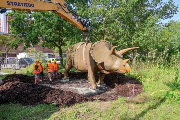 Wenn schwere Dinos fliegen - Modelle vor dem LWL-Museum für Naturkunde versetzt. Wahrzeichen des Museums kennzeichnen neuen Museumseingang. Das LWL-Museum für Naturkunde bekommt einen Anbau auf dem Museumsvorplatz. Für die Zeit der Bauarbeiten markieren die Dinos den neuen, vorübergehenden Eingang in das Museum. Münster, Nordrhein-Westfalen, DEU, Deutschland, 22.08.2024