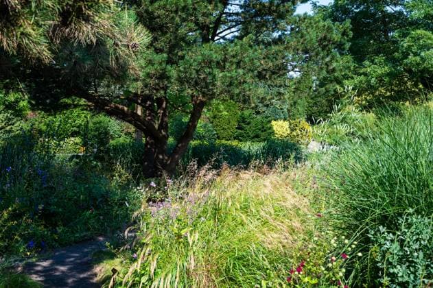 The University botanical garden, the Loki Schmidt Garten in Altona Hamburg, Germany