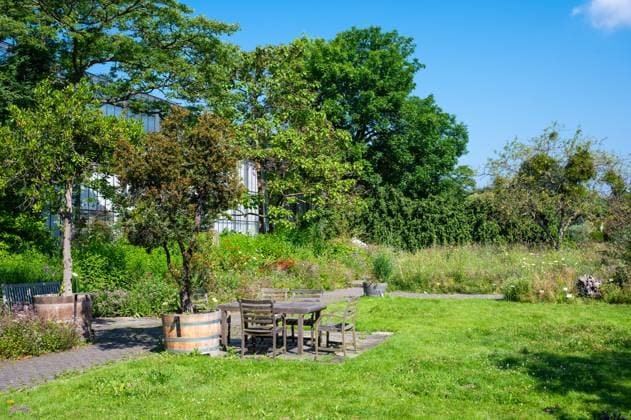 Wooden chairs and table at the university botanical garden of Altona Hamburg, Germany