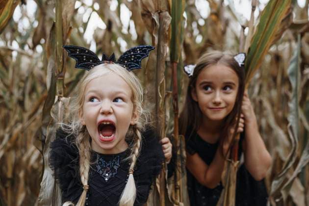 Creative Highlights Symbolbilder Girl holding crop and screaming in agricultural field model released, Symbolfoto, NSTF00315