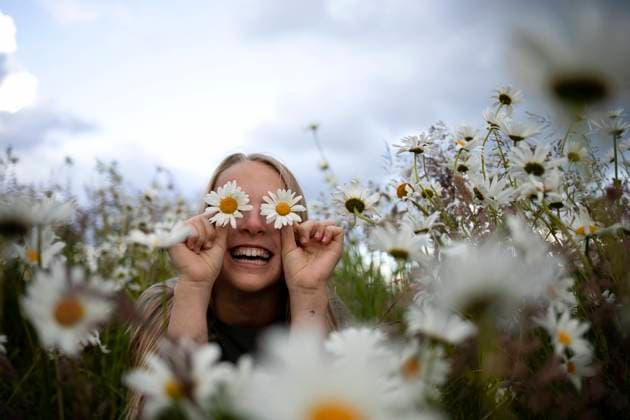 Creative Highlights Symbolbilder Girl covering eyes with daisy flower in field model released, Symbolfoto, OSVF00163