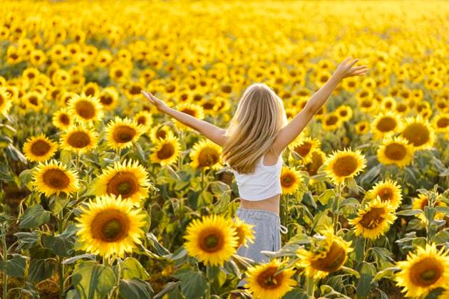 Creative Highlights Symbolbilder Carefree girl with arms raised standing in sunflower field model released, Symbolfoto, SIF01138