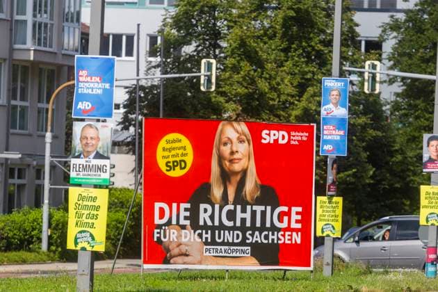 Landtagswahlkampf in Sachsen Die heiße Phase das Landtagswahlkampfes in Sachsen, kann man der Menge der verschiedentsten Botschaften an Bäume und Laternen ablesen. Dresden Sachsen Deutschland *** State election campaign in Saxony The hot phase of the state election campaign in Saxony can be seen in the amount of different messages on trees and lanterns Dresden Saxony Germany
