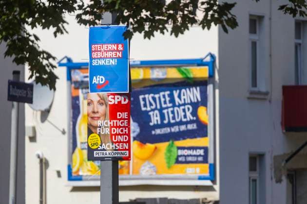 Landtagswahlkampf in Sachsen Die heiße Phase das Landtagswahlkampfes in Sachsen, kann man der Menge der verschiedentsten Botschaften an Bäume und Laternen ablesen. Dresden Sachsen Deutschland *** State election campaign in Saxony The hot phase of the state election campaign in Saxony can be seen in the amount of different messages on trees and lanterns Dresden Saxony Germany