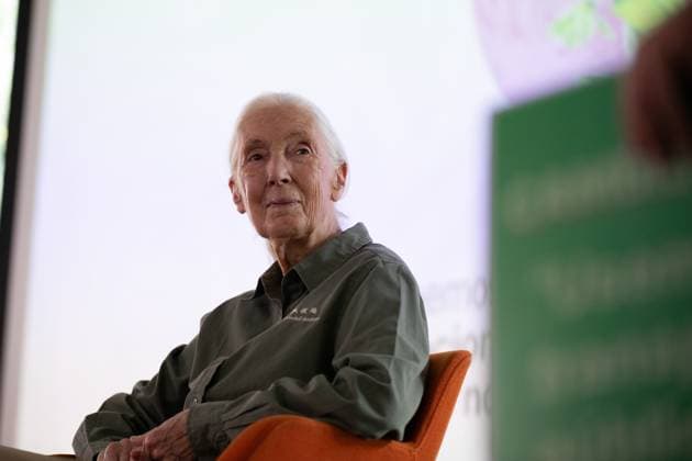August 23, 2024, MedelloÂ­N, Antioquia, Colombia: British ethologyst Jane Goodall takes part during an event in Medellin, Colombia, August 23, 2024. MedelloÂ­N Colombia - ZUMAvp1_ 20240823_zia_vp1_008 Copyright: xCamiloxMorenox