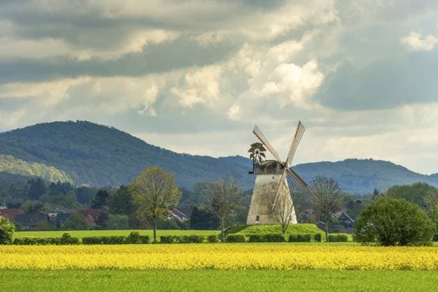 Windmühle mit Rapsfelder Veltheim Porta Westfalica Deutschland Windmill with rape fields Veltheim Porta Westfalica Germany Copyright: imageBROKER RolfxFischer iblrfi11255167.jpg
