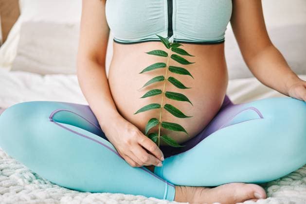 Creative Highlights Symbolbilder Schwangere Frau hält grüne Sprossen Pflanze in der Nähe ihres Bauches. Mutterschaft, Menschen und erwartete Konzept. Letzte Monate der Schwangerschaft Pregnant woman holds green sprout plant near her belly. Motherhood, people and expecting concept. Last months of pregnancy Copyright: imageBROKER ViktorxGladkov ibxiqx09033566.jpg ,model released, Symbolfoto ,property released