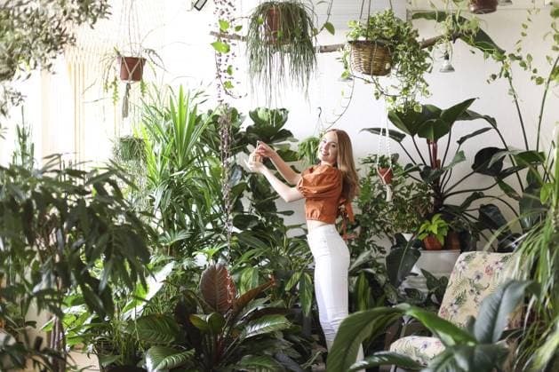 Creative Highlights Symbolbilder Junge Frau mit Zöpfen lächelt und kümmert sich um Topfpflanzen bei der Gartenarbeit am Wochenende zu Hause Young female with braids smiling and taking care of potted plants while gardening in weekend at home Copyright: imageBROKER DashaxPetrenko ibxiqx09195451.jpg ,model released, Symbolfoto ,property released