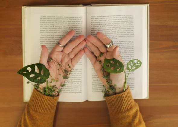 Creative Highlights Symbolbilder Grüne Blätter um weibliche Hände gewickelt, die auf einem offenen Buch liegen. Cropped Schuss der Frau sitzt mit offenen Palmen am Tisch mit Pflanze wächst aus unter Pullover Ärmel. Umweltfreundliches Leben und Natur Konzept Green leaves wrapped around female hands lying on open book. Cropped shot of woman sitting with open palms at table with plant growing from under sweater sleeves. Eco-friendly life and nature concept Copyright: imageBROKER DashaxPetrenko ibxiqx09196243.jpg ,model released, Symbolfoto ,property released