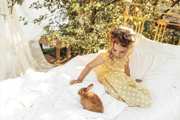 Kleines hübsches Mädchen im Sommerkleid sitzt draußen auf dem Bett mit Kaninchen, niedliche Kind Blick auf Hasen mit leichten Lächeln genießen Zeit mit ihren Lieblings Tiere Little pretty girl in summer dress sitting outside on the bed with rabbits, cute kid looking at bunnies with light smile enjoying spending time with her favourite pets Copyright: imageBROKER DashaxPetrenko ibxiqx09198782.jpg ,model released, Symbolfoto ,property released