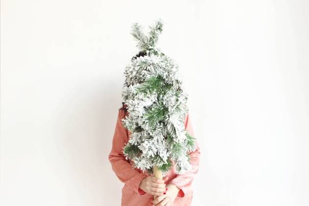 Creative Highlights Symbolbilder Frau hält sich einen kleinen Weihnachtsbaum vor das Gesicht, während sie isoliert vor einem weißen Studiohintergrund steht. Weiblich mit künstlichen schneebedeckten grünen Tannenbaum. Xmas Heimtextilien und Ferienzeit Woman holding small Christmas tree in front of face while standing isolated over white studio background. Female with artificial fake snow-covered green firtree. Xmas home decor and holiday season Copyright: imageBROKER DashaxPetrenko ibxiqx09199262.jpg ,model released, Symbolfoto ,property released
