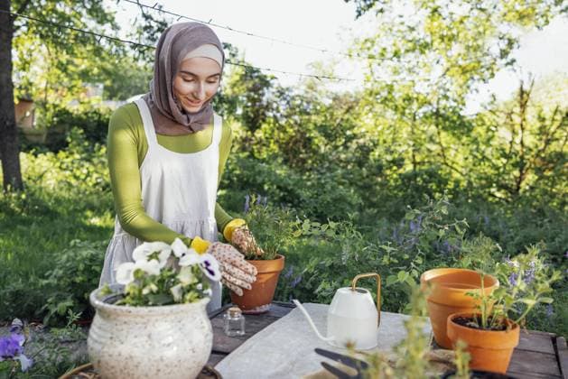 Creative Highlights Symbolbilder Muslimische junge attraktive Gärtnerin bei der Arbeit, Pflege von Grünpflanzen, Arbeit im Retro Gartengeschäft Muslim young attractive gardener at work, take care of green plants, working in retro garden shop Copyright: imageBROKER DashaxPetrenko ibxiqx09201722.jpg ,model released, Symbolfoto ,property released
