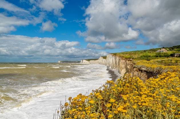 The Seven Sisters chalk cliffs, Seven Sisters Country Park, South Downs National Park, seen from Birling Gap, near Eastbourne, East Sussex, England, United Kingdom, Europe Copyright: BarryxDavis 1358-491 RECORD DATE NOT STATED