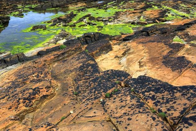 Creative Highlights World Rock details near Marwick Head, Mainland, Orkney Islands, Scotland, United Kingdom, Europe Copyright: GeraintxTellem 1365-620 RECORD DATE NOT STATED