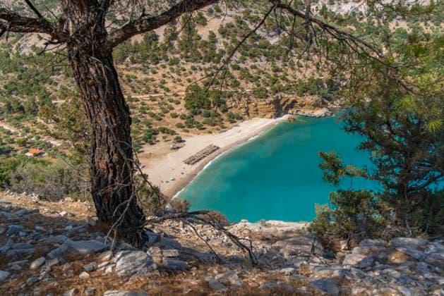 View of Livadi Beach from Viewpoint Archangel Michael, Thasos, Thassos, Aegean Sea, Greek Islands, Greece, Europe Copyright: FrankxFell 844-35723 RECORD DATE NOT STATED