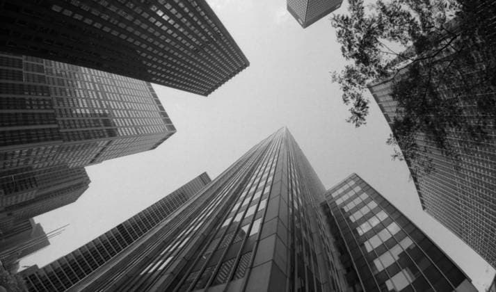 Archivbilder der Woche KW35 June-July, 1994. New York City, USA. A view of skyscrapers and a tree. The exact date of the photograph is unknown. Vladimir Yatsina TASS  19309951