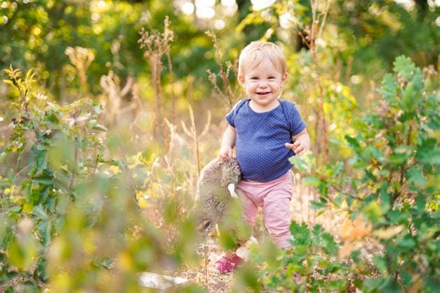 Creative Highlights Symbolbilder Small child in the wild forest Pécs, Hungary R_LALA210830-816465-01 ,model released, Symbolfoto