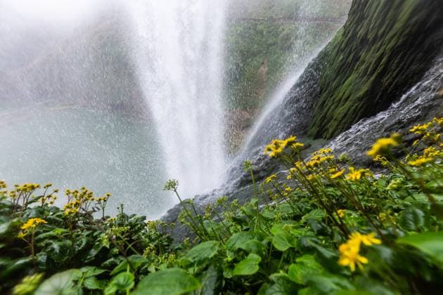 Creative Highlights World Huangguoshu Waterfall The Huangguoshu Waterfall is seen in Anshun, China, on March 19, 2017. Anshun China  Copyright: xCFOTOx originalFilename: cfoto-huangguo240905_npyYW.jpg