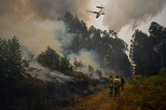 Bilder des Jahres 2024, News 09 September News Themen der Woche KW36 News Bilder des Tages The forest fire in Entrimo Ourense burns 180 hectares Agents of the Fire Brigade of Galicia work on the fire in the Natural Park of Baixa Lima Serra do Xurés, on September 5, 2024, in Entrimo, Ourense, Galicia Spain The forest fire in Entrimo Ourense , which entered Galicia during the afternoon of this Wednesday, September 4, from Portugal and affects the Natural Park of Baixa Lima Serra do Xurés, has already burned about 180 hectares, according to the last data facilitated by the Consellería do Medio Rural The fire originated about 20 30 hours of September 3 in Portugal and acquired a great virulence because of the wind The means of the Service of Prevention and Defense against the Forest Fires of the Xunta were collaborating with Portugu  Copyright: xRosaxVeigax 6194079