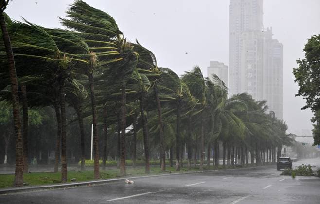 News Themen der Woche KW36 (240906) -- HAIKOU, Sept. 6, 2024 -- Coconut trees struggle against strong wind on a street in Haikou, south China s Hainan Province, Sept. 6, 2024. Yagi, the 11th typhoon of the year, has developed into a super typhoon of level 17, packing winds of up to 209 km per hour. The typhoon is forecast to make landfall on Friday afternoon somewhere between the city of Wenchang in Hainan Province and Xuwen County in Guangdong Province. ) (SpotNews)CHINA-HAINAN-HAIKOU-SUPER TYPHOON YAGI (CN) GuoxCheng 