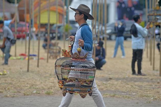 News Themen der Woche KW36 News Bilder des Tages September 8, 2024, Yogyakarta, Yogyakarta, INDONESIA: Birdcages are lined up on poles during the Dekukur (Spilopelia chinensis) birdsong competition that was participated by 160 bird enthusiasts at Alun Alun Kidul field, Yogyakarta, on 8 September, 2024. Dekukur birds are also known as spotted dove with the scientific name Spilopelia chinensis which has a beak, a rather long tail, is warm-blooded, and reproduces by laying eggs and is familiar with humans, judging During the competition round, the chirping sound of dekukur birds will be assessed starting from the front, middle, and back sound and the flag carried by the judge serves as a sign if the bird sounds and the Dekukur bird owner is not confused and knows the extent of the value give - ZUMAr173 20240908_zip_r173_017 Copyright: xDasrilxRoszandix