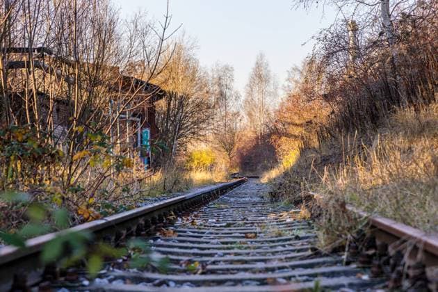 zugewachsene Eisenbahnschienen Gleisanlagen Overgrown railway tracks Railway tracks Copyright: imageBROKER DanielxKühne ibxiqx08495752.jpg